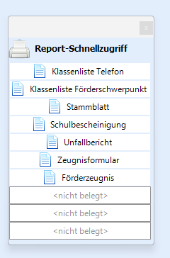 Report-Schnellzugriff Report-Schnellzugriff als schwebendes Fenster